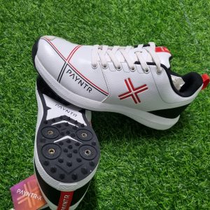 Payntr cricket spikes